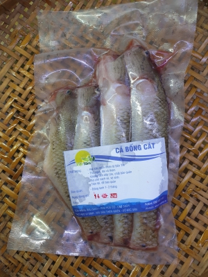 Cá Bống Cát - Thiên Nhiên